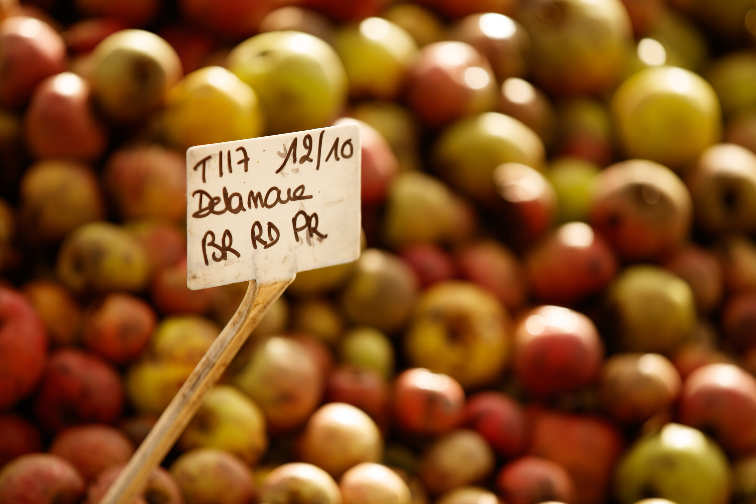 Chai du calvados Busnel — photo David Morganti