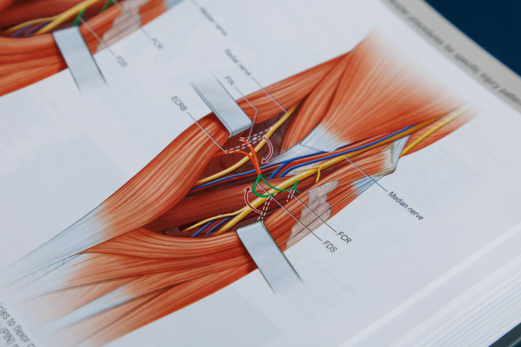 Atlas de chirurgie ouvert sur les nerfs de l'avant-bras — photo David Morganti
