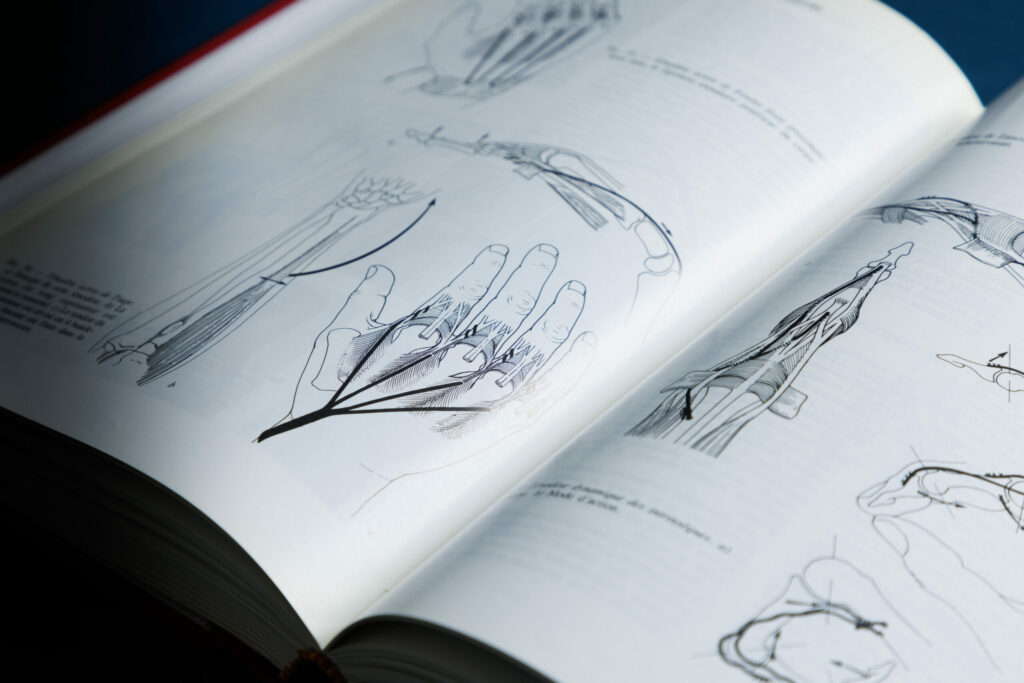 Ouvrage d'anatomie de la main ouvert sur ses planches dessinées — photo David Morganti
